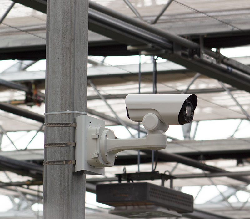 A camera mounted on a metal pole inside a greenhouse used for scanning plants with the MyCrops SPOT module