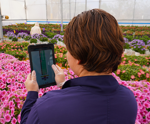 Farmer standing in a greenhouse holding a potted plant and clipboard