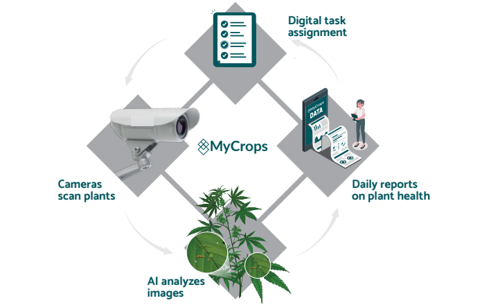 Spot Automated Crop Monitoring
